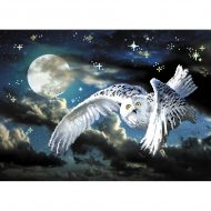 Рисунок на шелке МАТРЕНИН ПОСАД арт.37х49 - 4152 Сова