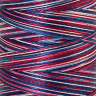 22809_Нить вышивальная мультиколор POLY SHEEN MULTI, 200 м