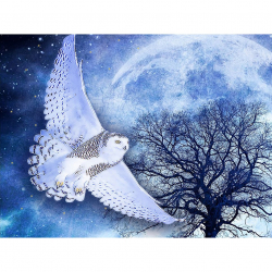 Алмазная мозаика Ah5415 Ночная хищница 30х40