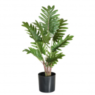 Цветок декоративный в кашпо "Филодендрон"