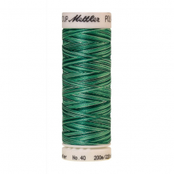 22821_Нить вышивальная мультиколор POLY SHEEN MULTI, 200 м
