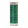 22821_Нить вышивальная мультиколор POLY SHEEN MULTI, 200 м