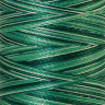 22821_Нить вышивальная мультиколор POLY SHEEN MULTI, 200 м