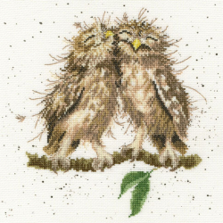 Набор для вышивания Bothy Threads арт.XHD36 Birds of a feather (Птицы одного полёта) 26х26 см