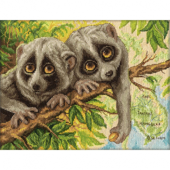 Набор для вышивания PANNA арт. J-1790 Скромные лори 24х18 см Набор для вышивания PANNA арт. J-1790 Скромные лори 24х18 см