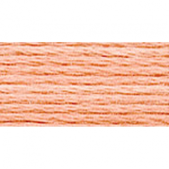 Нитки для вышивания Gamma мулине (0207-0819) 100% хлопок 24 x 8 м цв.0703 персиковый Нитки для вышивания Gamma мулине (0207-0819) 100% хлопок 24 x 8 м цв.0703 персиковый