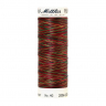 22828_Нить вышивальная мультиколор POLY SHEEN MULTI, 200 м