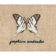 163927_Набор для вышивания "PAPILLON: GRAPHIUM" (Бабочка GRAPHIUM) 163927_Набор для вышивания "PAPILLON: GRAPHIUM" (Бабочка GRAPHIUM)