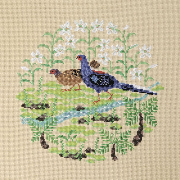 163719_Набор для вышивания "Тайваньский фазан"