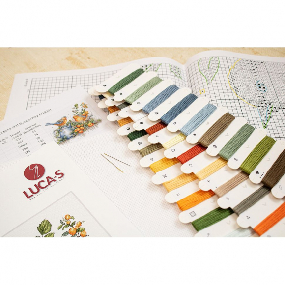 192143_Набор для вышивания "Песня птиц"