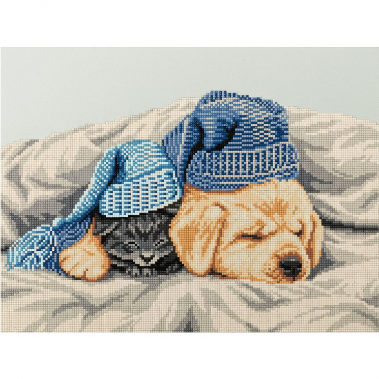 Кристальная мозаика на подрамнике ФРЕЯ арт.ALPD-048 Сонное царство 40х30 см