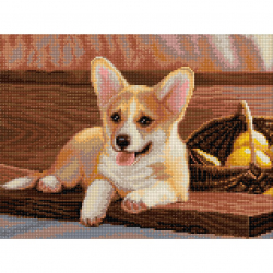 Кристальная мозаика на холсте ФРЕЯ арт.ALVA-03 Вельш-Корги 30х40 см
