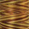 22835_Нить вышивальная мультиколор POLY SHEEN MULTI, 200 м