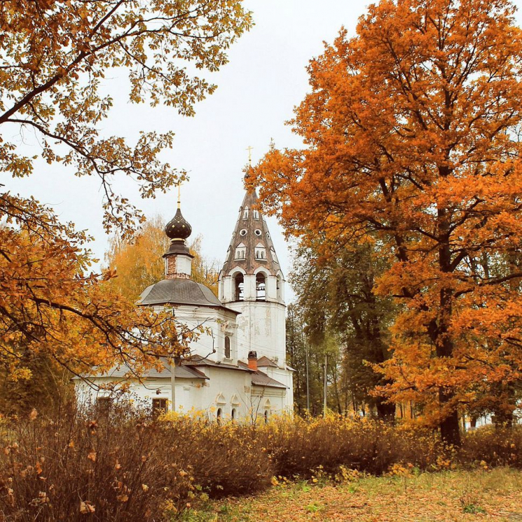 Картины мозаикой Molly арт.KM0677 Осень в глубинке (19 цветов) 30х30 см