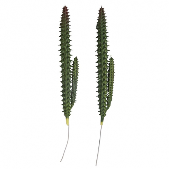 136852_Декоративное растение "Столбчатый кактус" 136852_Декоративное растение "Столбчатый кактус"