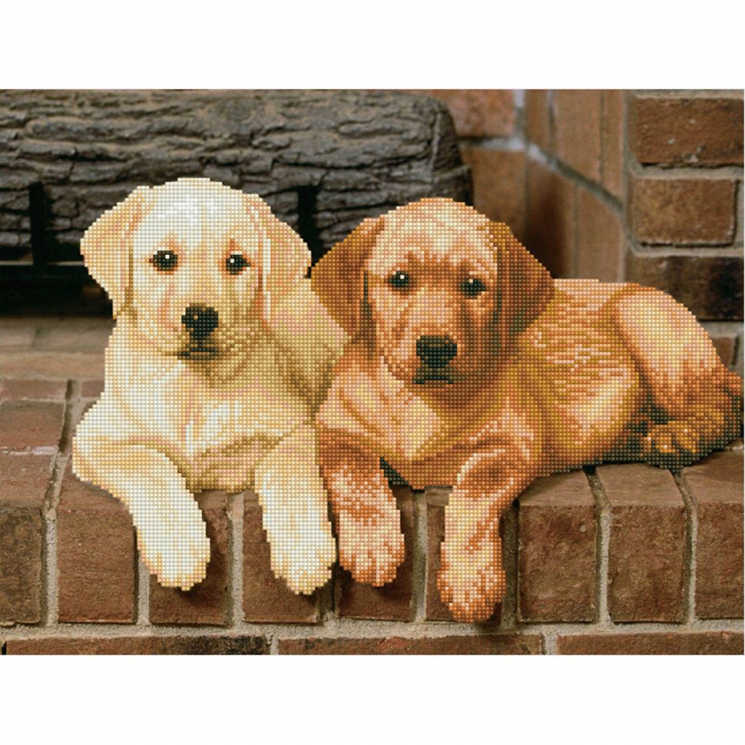 Кристальная мозаика на холсте ФРЕЯ арт.ALV-3 09 Щенки лабрадора 39,5х52 см