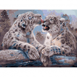 Картины по номерам Белоснежка арт.БЛ.341-AS Ирбисы 30х40 см