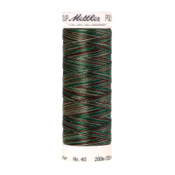 22842_Нить вышивальная мультиколор POLY SHEEN MULTI, 200 м