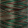 22842_Нить вышивальная мультиколор POLY SHEEN MULTI, 200 м