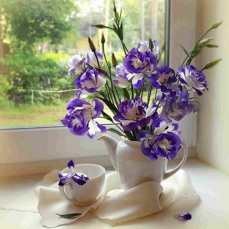 Картины мозаикой Molly арт.KM0679 Нежный натюрморт на окне (26 цветов) 30х30 см