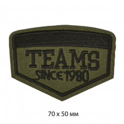Термоаппликации  арт.TBY.A14 TEAMS SINCE 1980 70х50 мм уп.10 шт