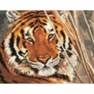 Набор для вышивания АЛИСА арт.1-08 Тигр 35х28 см