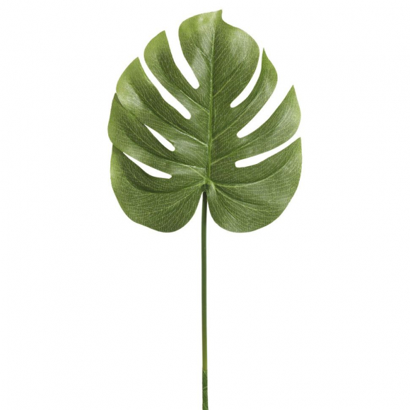 Лист декоративный "Филодендрон" Лист декоративный "Филодендрон"