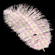 Перо страуса арт.R-2014-07 20-25 см цв.белый-мульти 3 уп.10 шт.