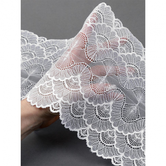 Кружево-стрейч KRUZHEVO арт.TBY.8034 шир.195мм цв.004 белый уп.2,7м