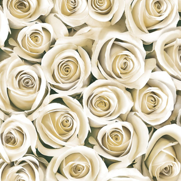 102931_Салфетки - трехслойные, Maki, коллекция "Ланч каждый день"