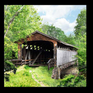 Ткань для пэчворка PEPPY Spring Time 4683 Panel 146 г/м? 100% хлопок цв.26473 MUL1 уп.65х110 см