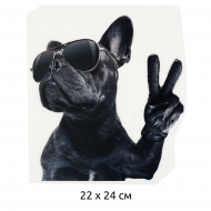 Термотрансфер арт.TBY.1304 Мопс в очках 22х24см, уп.10шт