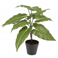 Цветок декоративный в кашпо "Антуриум"