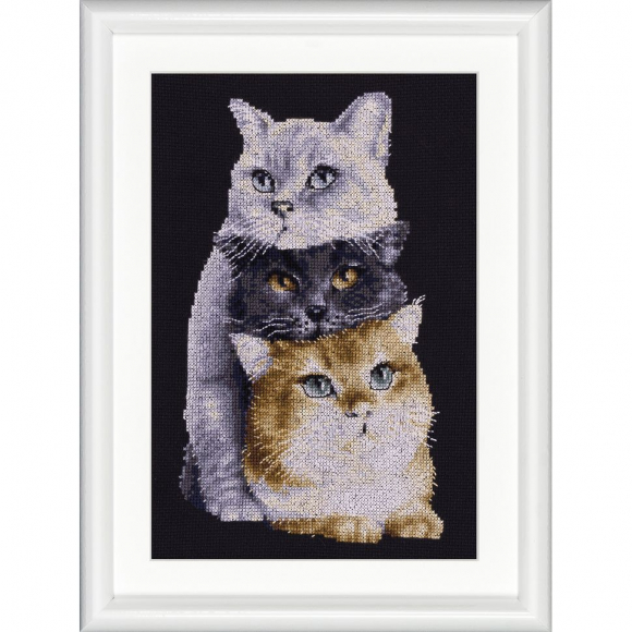 192839_Набор для вышивания "Три кота", канва Aida (черного цвета) 14 ct