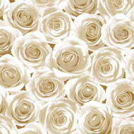 102973_Салфетки - трехслойные, Maki, коллекция "Ланч каждый день"