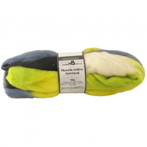 89470_Шерсть для валяния мультиколор