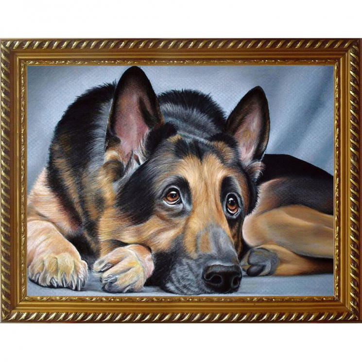 Набор для изготовления картин АЛМАЗНАЯ ЖИВОПИСЬ арт.АЖ.1418 Овчарка 40х30 см