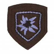 Термоаппликация "Эдельвейс"