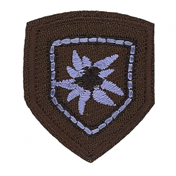 Термоаппликация "Эдельвейс"