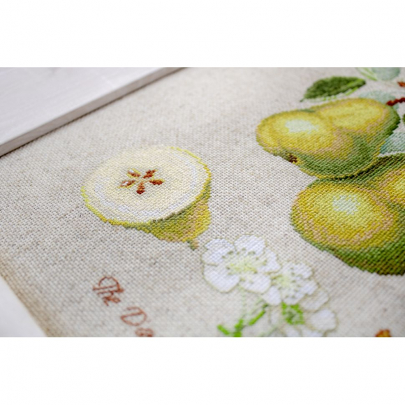 Набор для вышивания LUCA-S арт. BL22420 Груши 16х21,5 см