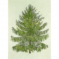 186764_Набор для вышивания: "Ель"