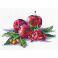 Набор для вышивания СДЕЛАЙ СВОИМИ РУКАМИ арт.Я-03 Яблоки и орешки 26х18 см