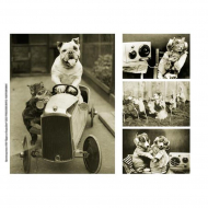 92212_Рисовая бумага А4 "Звери"