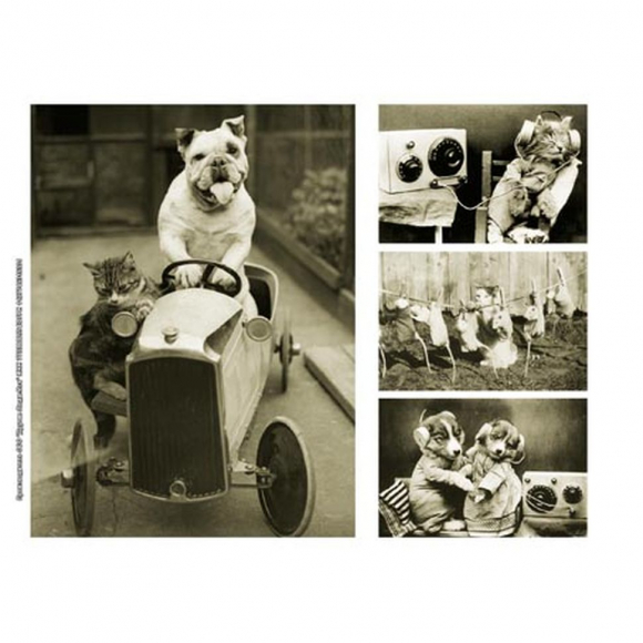 92212_Рисовая бумага А4 "Звери"