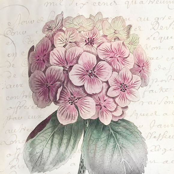 98643_Салфетки трехслойные для декупажа, коллекция "Lunch" Sagen Vintage Design "Гортензия"