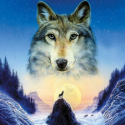 Картины мозаикой Molly арт.KM0690 Зов дикой природы (28 цветов) 30х30 см