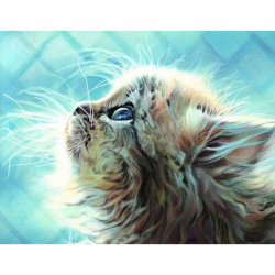 Картина по номерам с цветной схемой на холсте Molly арт.KK0675 Пушистый котенок 30х40 см