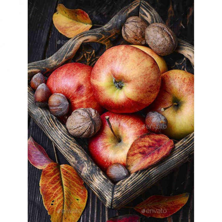 Алмазная мозаика Ah5283 Дары осени 30х40