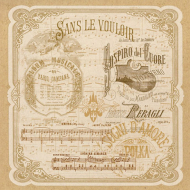 64300_Фетр с принтом