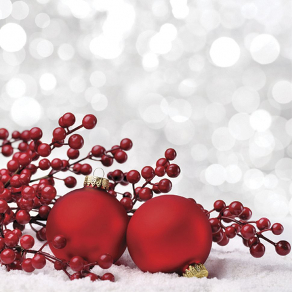 Салфетки трехслойные для декупажа, коллекция "Lunch"  PAW Decor Collection "Фенечки на снегу"